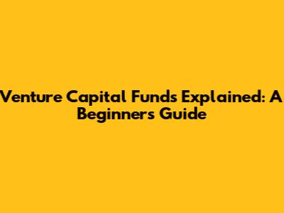 Venture Capital Funds Explained: A Beginner's Guide