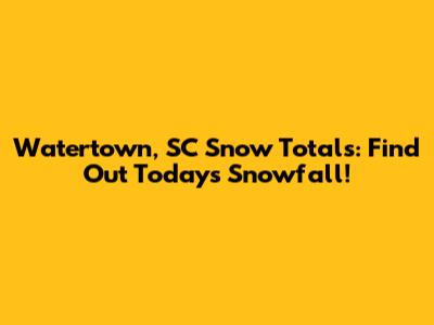 Watertown, SC Snow Totals: Find Out Today's Snowfall!