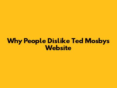 Why People Dislike Ted Mosby's Website