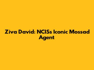 Ziva David: NCIS's Iconic Mossad Agent